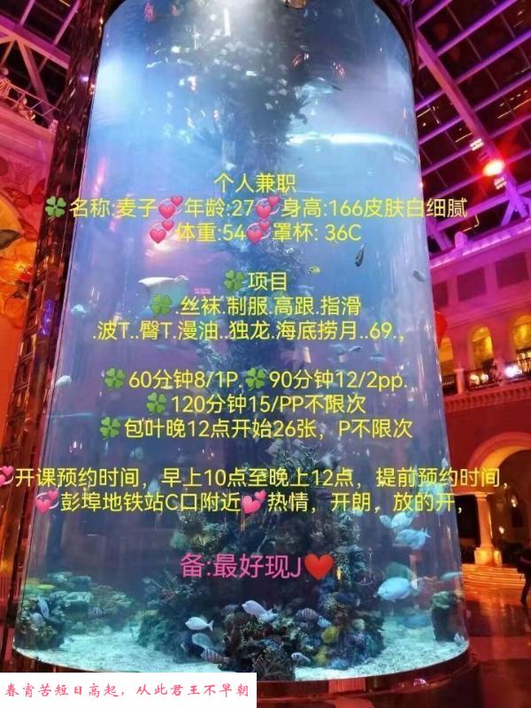东站麦子 第2张