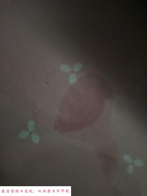 骚浪小坦克 第3张