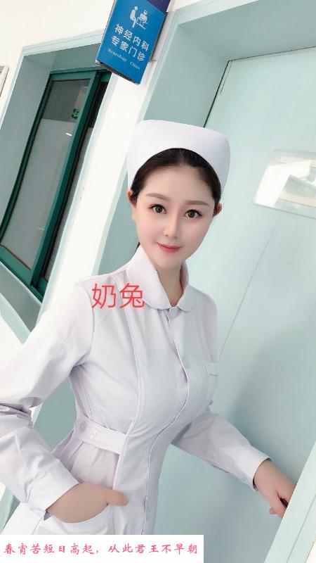 汉口奶兔 第1张